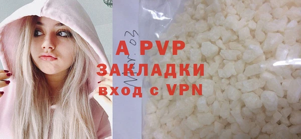 ГАЛЛЮЦИНОГЕННЫЕ ГРИБЫ Осинники
