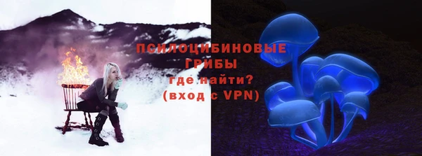 метадон Осташков