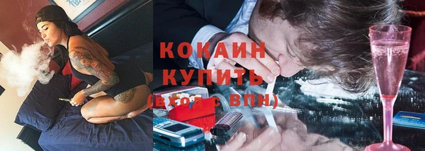 винт Пересвет