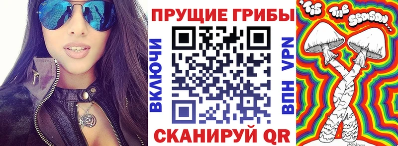 закладки Безенчук ссылка на мегу ONION Псилоцибиновые грибы Cubensis